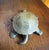 1970s Vintage Hollywood Regency Brass Turtle Keepsake Box For Sale - Image 4 of 8