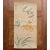 Post 1940s Showa Era Japanese Silk Scroll "Rosefinch, Camellias and Lilies" For Sale - Image 11 of 12