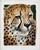 Original Cheetah Portrait Oil Painting on Canvas | Wildlife Art | 8x10 | Signed Prescott For Sale