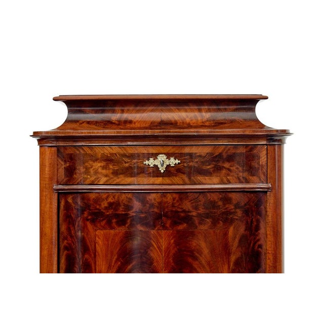 Brown Antique Scandinavian Serpentine Shaped Cabinets, 1880, Set of 2 For Sale - Image 8 of 13