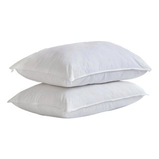 Premium Soft White Duck Down Pillow with TENCELTM Lyocell Organic Cotton Shell, Queen For Sale