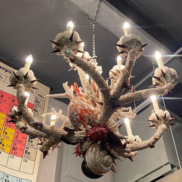 Shell 1990s Coastal Grand French Hand-Crafted Grotto Nautical Multi-Stem Coral Shell Chandelier For Sale - Image 7 of 16