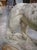 Stone Gray A French Medici Style Lion in Reconstituted Stone, 20th C For Sale - Image 8 of 18