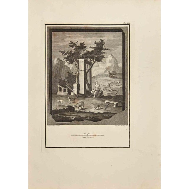 Roman Temple with Shepard from "Antiquities of Herculaneum" is an etching on paper realized by Giussepe Aloja in the 18th...