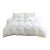 Hotel Luxe Summer Weight European Goose Down Duvet with Cotton Shell, King For Sale