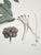 Botanical Prints by Shadow Catchers-Set of 4 For Sale - Image 11 of 17