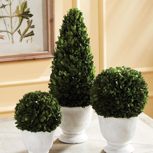 Real English boxwoods, preserved and painstakingly assembled by our masterful artists. Artfully arranged and preserved to...