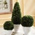 Real English boxwoods, preserved and painstakingly assembled by our masterful artists. Artfully arranged and preserved to...
