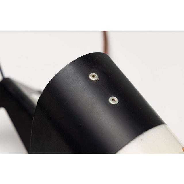 French Dog Lamp by Jean Boris Lacroix for Disderot, 1950 For Sale - Image 13 of 18