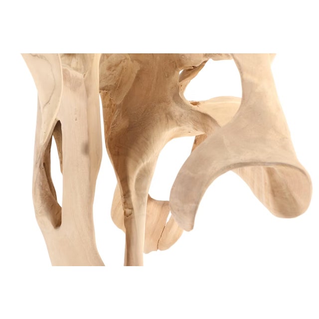 Monumental Teak Root Sculpture 7' Tall For Sale In Cincinnati - Image 6 of 18