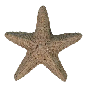 Starfish by Mario Lopez Torres