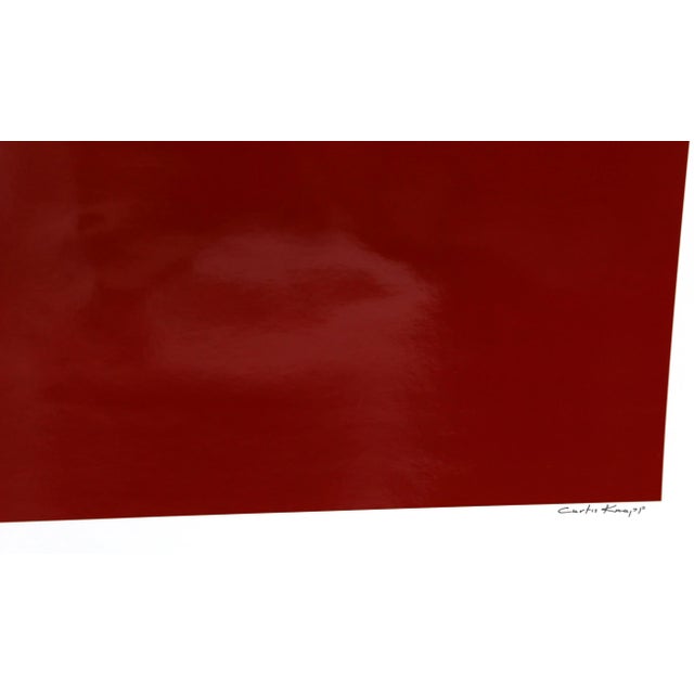 Portraiture Andy Warhol Red Series Iii, Photo Portrait by Curtis Knapp For Sale - Image 3 of 4