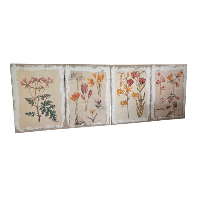 Botanical Canvas Wall Art- Set of 4 For Sale