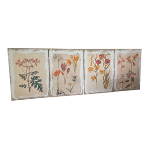 Botanical Canvas Wall Art- Set of 4