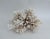 Exceptional Natural Brown Stem Coral Specimen For Sale - Image 11 of 11