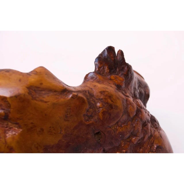 Early American Carved Burl Basket For Sale - Image 12 of 13