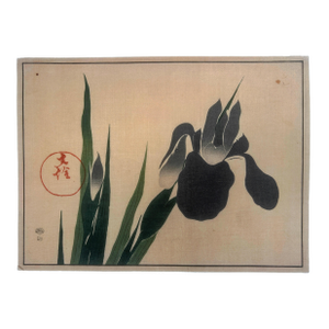 18th Century Antique Japanese Sakai Hoitsu “Iris” Woodblock Print