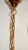 Vintage Brass, Lead Crystal, and 24k Gold-Plated Chandelier from Sölken Leuchten, 1970s For Sale - Image 6 of 10