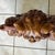 Pair Large 19" Terracotta Foo Dogs Chinese Guardian Lions Vintage Heavy For Sale - Image 10 of 17