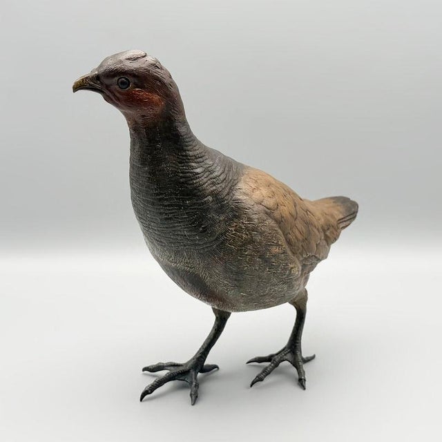 Metal Franz Bergman, Partridge, 1890s, Bronze For Sale - Image 7 of 8