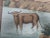 Blue 36" * H96" * 13ps, Eearly View of India Panoramic Wallpaper - Set of 13 For Sale - Image 8 of 12