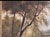 19th Century 19th-Century Pastoral Landscape Oil Painting For Sale - Image 5 of 7