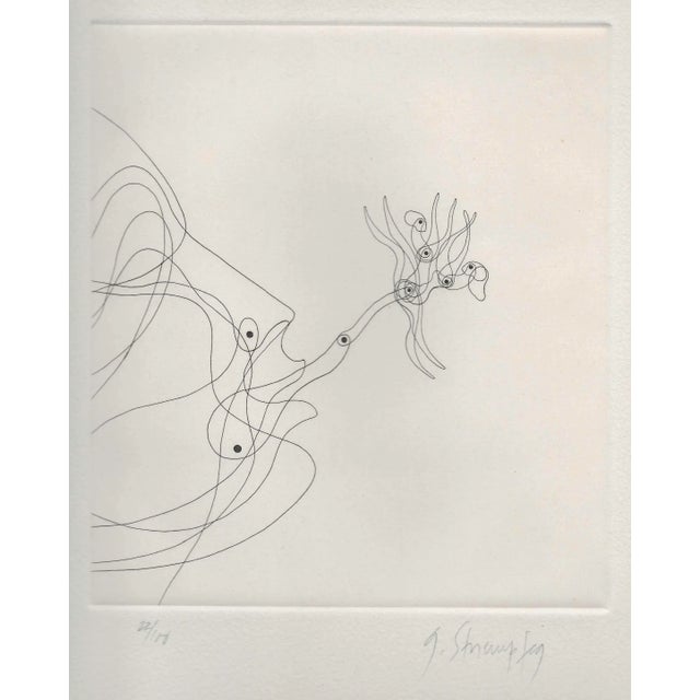 George Stuempfig Venus Fly Trap Portrait Etching For Sale - Image 4 of 4