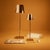 LED light with polycarbonate diffuser Offered in choice of 16 colors Full range touch dimming Color temperature selection...
