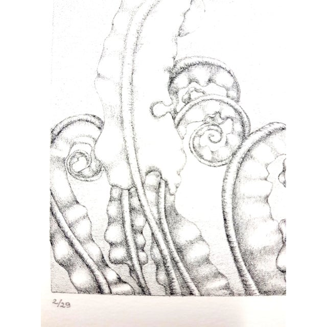 Gochka Charewicz - Herbarium - Original Signed Lithograph For Sale - Image 4 of 9