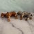 Wood Early 20th Century Hand Carved Painted Old West Cowboys and Horses Pair For Sale - Image 7 of 7