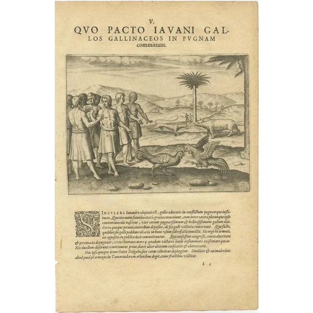 Set of Four De Bry Engravings of India and the East Indies, c.1598 – Cockfights, Sacred Trees, Exotic Animals, and the...