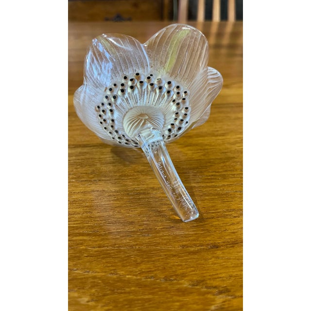 René Lalique Lalique Anemone Crystal Flower Paper Weight For Sale - Image 4 of 6