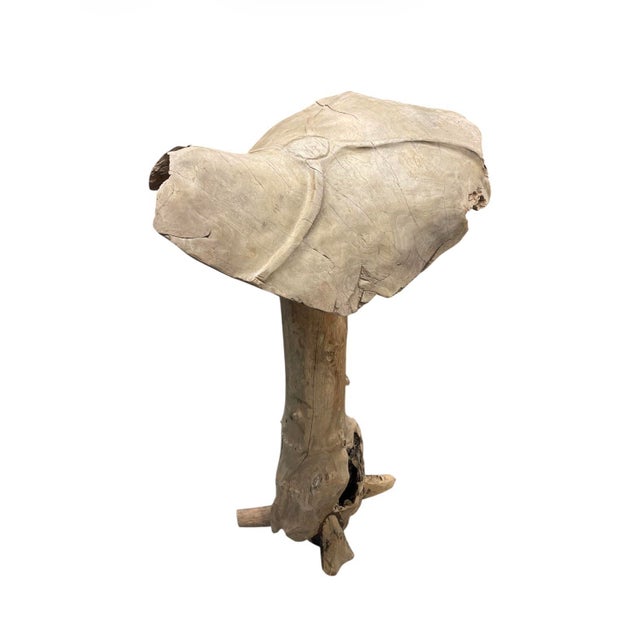 Artisanal Hand-Carved Teak Root Mushroom Sculpture For Sale - Image 4 of 12