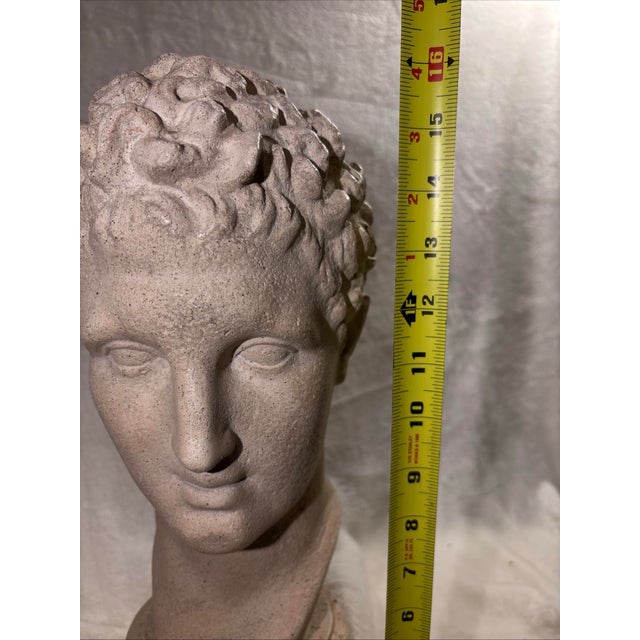 Vintage 16” 1984 Austin Productions Bust of Michelangelo's David Sculpture For Sale - Image 10 of 12