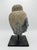 Overview Bring a sense of serene, monumental presence to your space with this striking Buddha head bust. Characterized by...