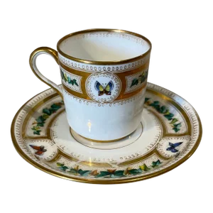 Mid 19th Century Westhead & Moore Butterfly Cup & Saucer