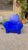 Richard III Armchair in Blue Polyurethane by Philippe Starck for Baleri Italia, 1985 For Sale - Image 14 of 17