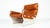 Canada P110 Armchair attributed to Osvaldo Borsani for Tecno, 1960s For Sale - Image 15 of 16
