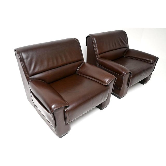 Animal Skin Vintage Leather Armchairs and Ottoman from de Sede, 1960s, Set of 3 For Sale - Image 7 of 11