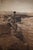 An original vintage photogravure from Edward S. Curtis's The North American Indian, Portfolio VIII (published 1911) — one...