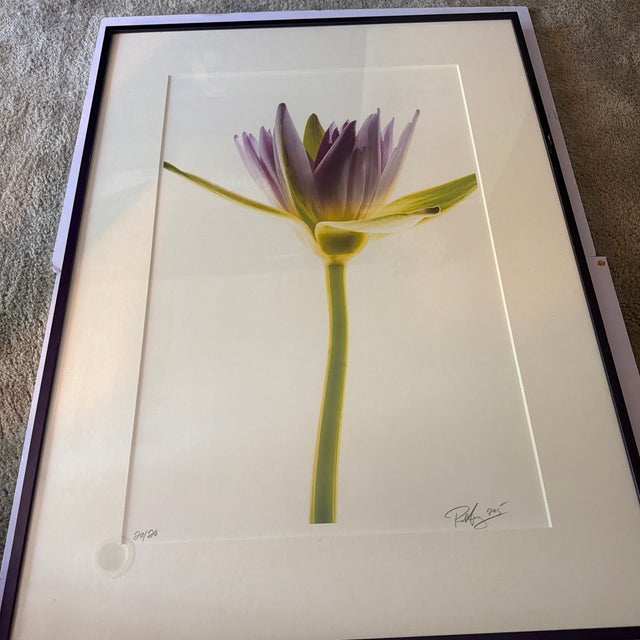 Contemporary “Paul Solberg Signed Fine Art Photograph, Salute 2006, Limited Edition 20/20, Purple Water Lily Bloom Series Print, Botanical Wall Art” For Sale - Image 3 of 16