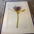Contemporary “Paul Solberg Signed Fine Art Photograph, Salute 2006, Limited Edition 20/20, Purple Water Lily Bloom Series Print, Botanical Wall Art” For Sale - Image 3 of 16