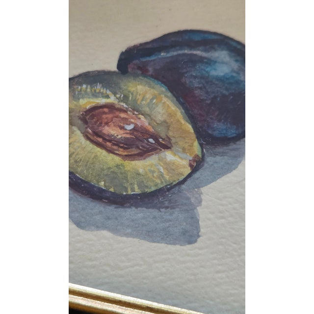 Vintage Fruit Still-Life Art in Black and Gold Wood Frames — A Pair For Sale - Image 12 of 18