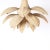 Mid-Century Modern Sanibel Wicker Palm Leaf or Lotus Pendant From the Fs Flores Collection For Sale - Image 3 of 6