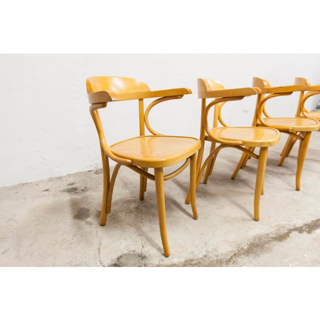 Vintage Bistro Armchairs, 1960s, Set of 4 For Sale - Image 17 of 18