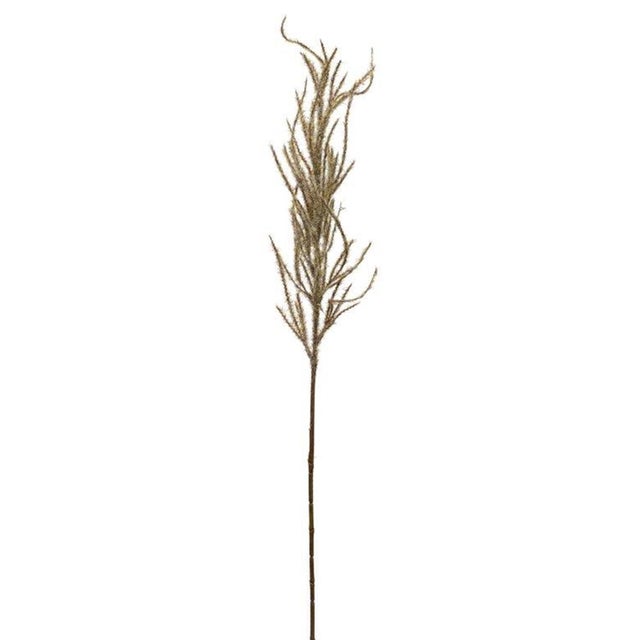 Bring nature's beauty into your home with the Flocked Pampas Grass Spray Set. This collection of realistic faux stems is...