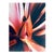 Jeffrey Rothstein, Flora Fauna Series Vintage Color Photograph Abstract Flower Fuji Crystal Photo, c.1998 For Sale
