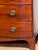19th Century 19th Century Mahogany Bowfront Chest For Sale - Image 5 of 10