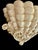 19th Century Antique French Biscuit Ceramic Shell-Form Wall Sconces, 1890, Set of 2 For Sale - Image 5 of 10