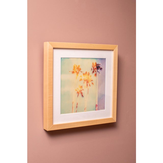 Uplifting palm tree framed print based on a polaroid by Stefanie Schneider USA, 2016 paper, wood frame & matte included 8...